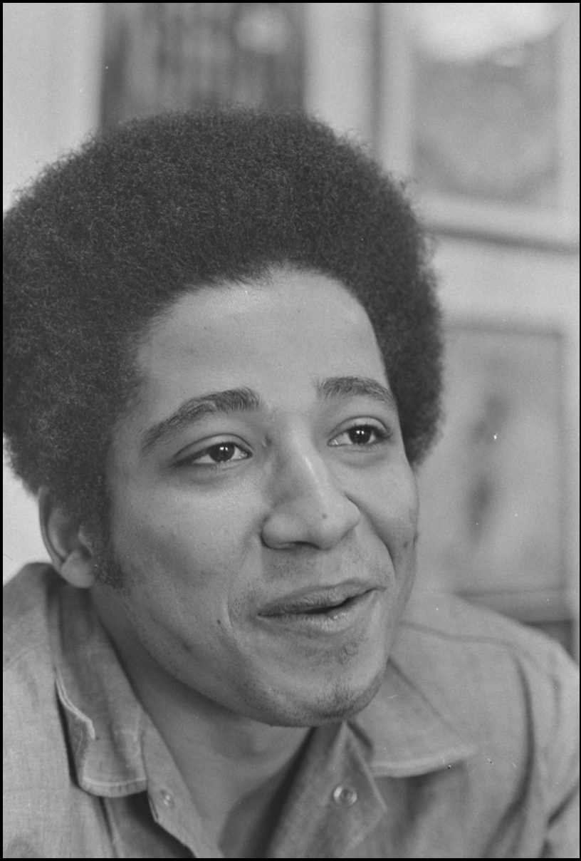 THE GEORGE JACKSON STORY by Mike Enemigo - GORILLA CONVICT - Seth Ferranti